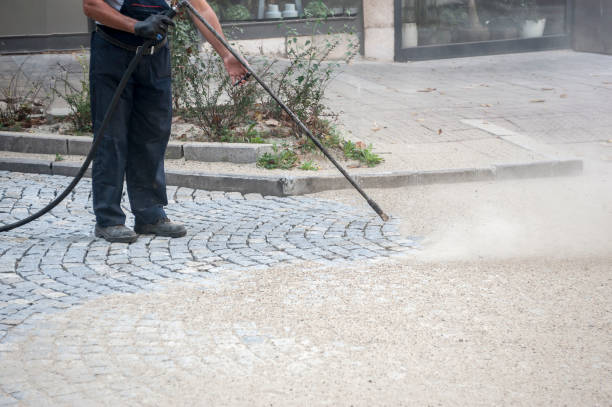 Best Warehouse Cleaning  in Round Lake Heights, IL