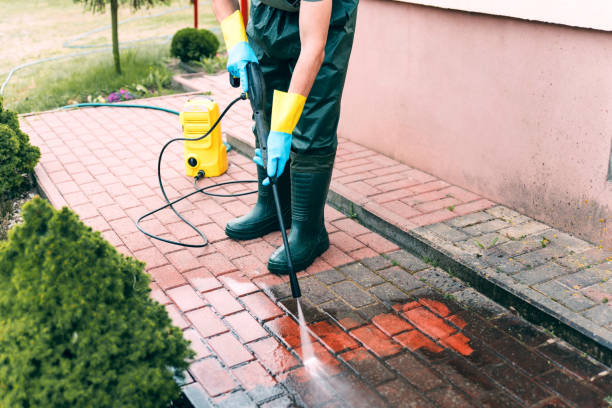 Best Parking Lot and Garage Cleaning  in Round Lake Heights, IL