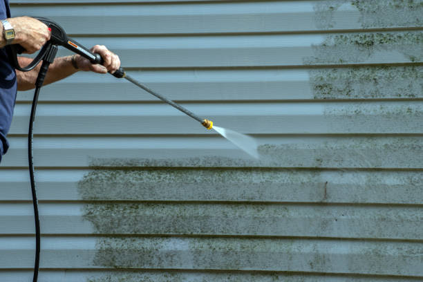 Best Pool Deck Cleaning  in Round Lake Heights, IL