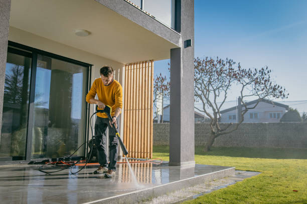 Best Spring Cleaning  in Round Lake Heights, IL
